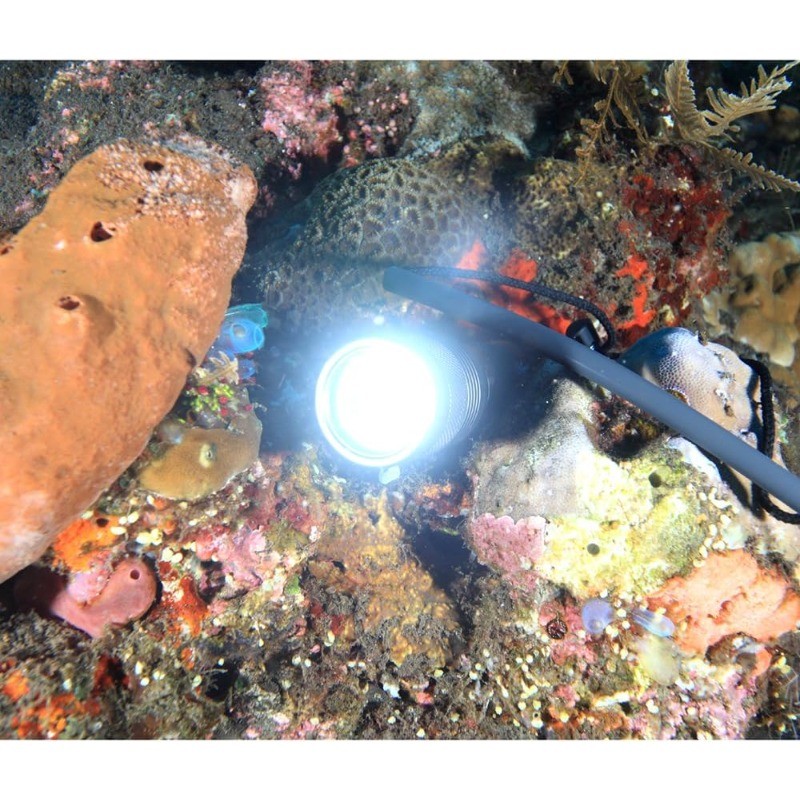 SecurityIng Waterproof 1000 Lumens LED Diving Flashlight Underwater 150m Super