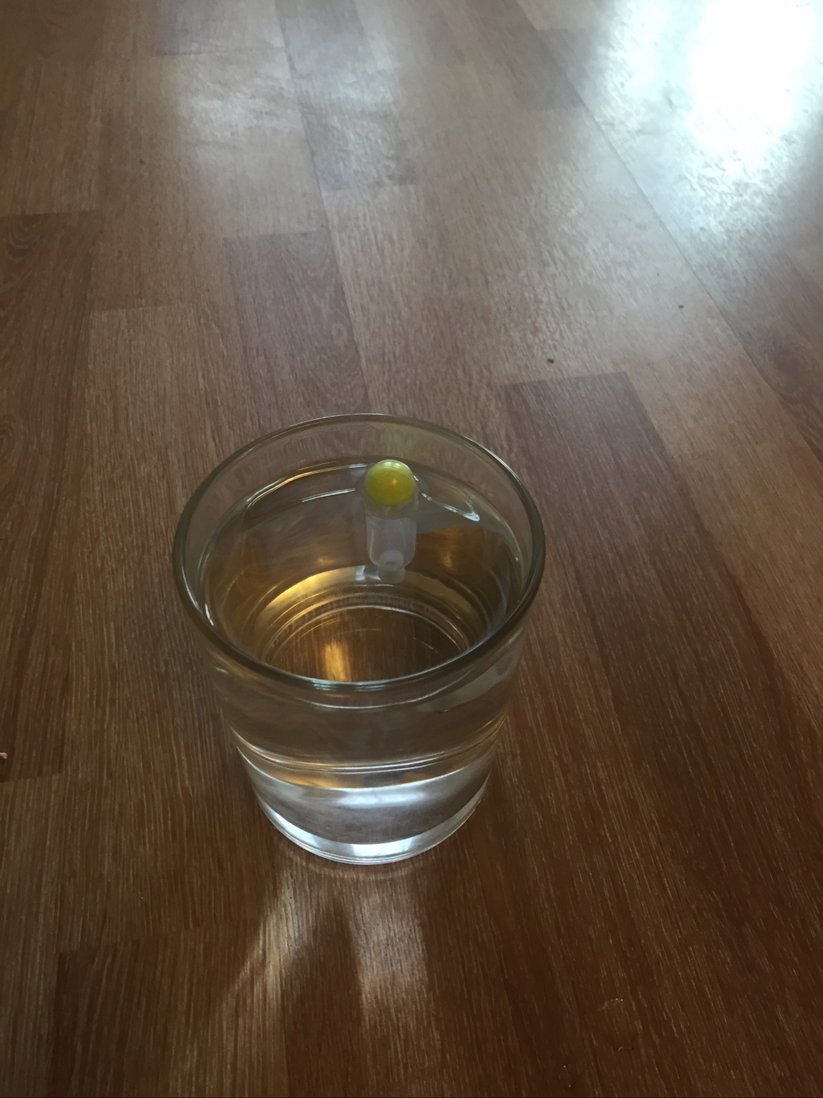 8 Gram Crystal Water Loaded Pellet waggler Floats
