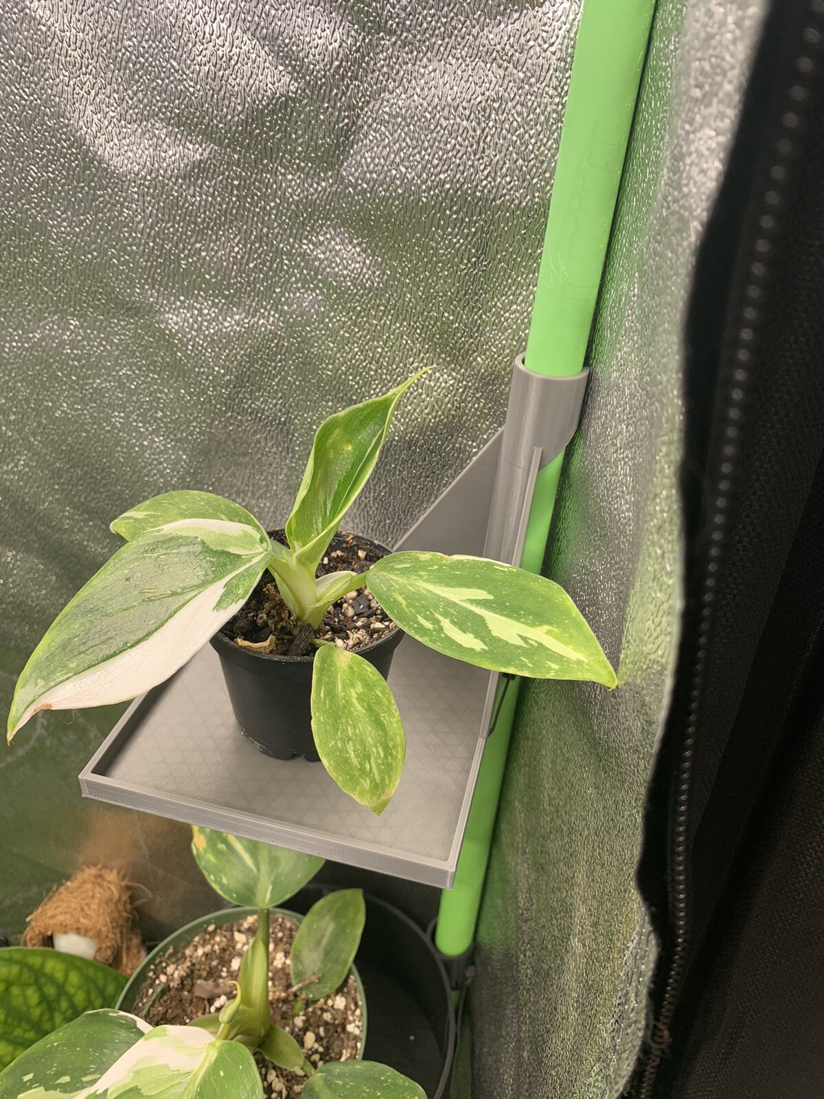 4 inch Grow Tent Shelf, Fits tents with 16mm poles