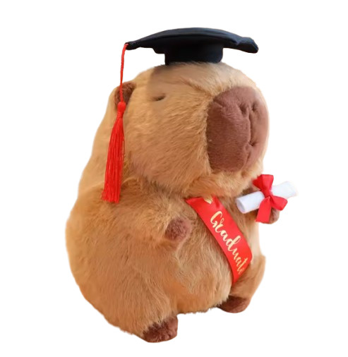 Graduation Plush Gown Capybara Uniform Stuffed Animals LARGE Doll Congratulation
