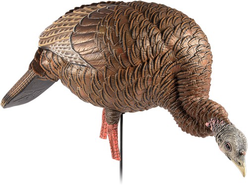 Avian-X HDR Feeding Hen Turkey Decoy | Durable Realistic Lifelike Standing Hu...