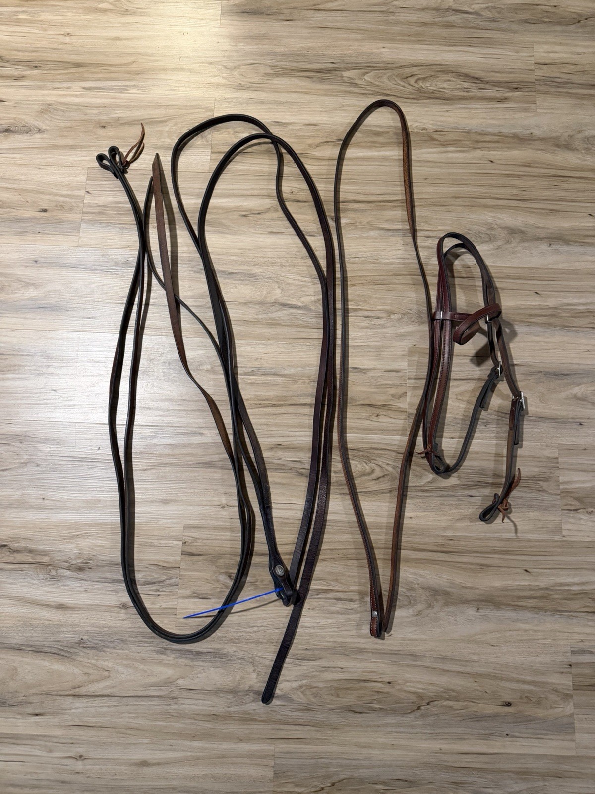 Western Horse Tack Lot - Circle Y Reins, Head stall, Other Reins