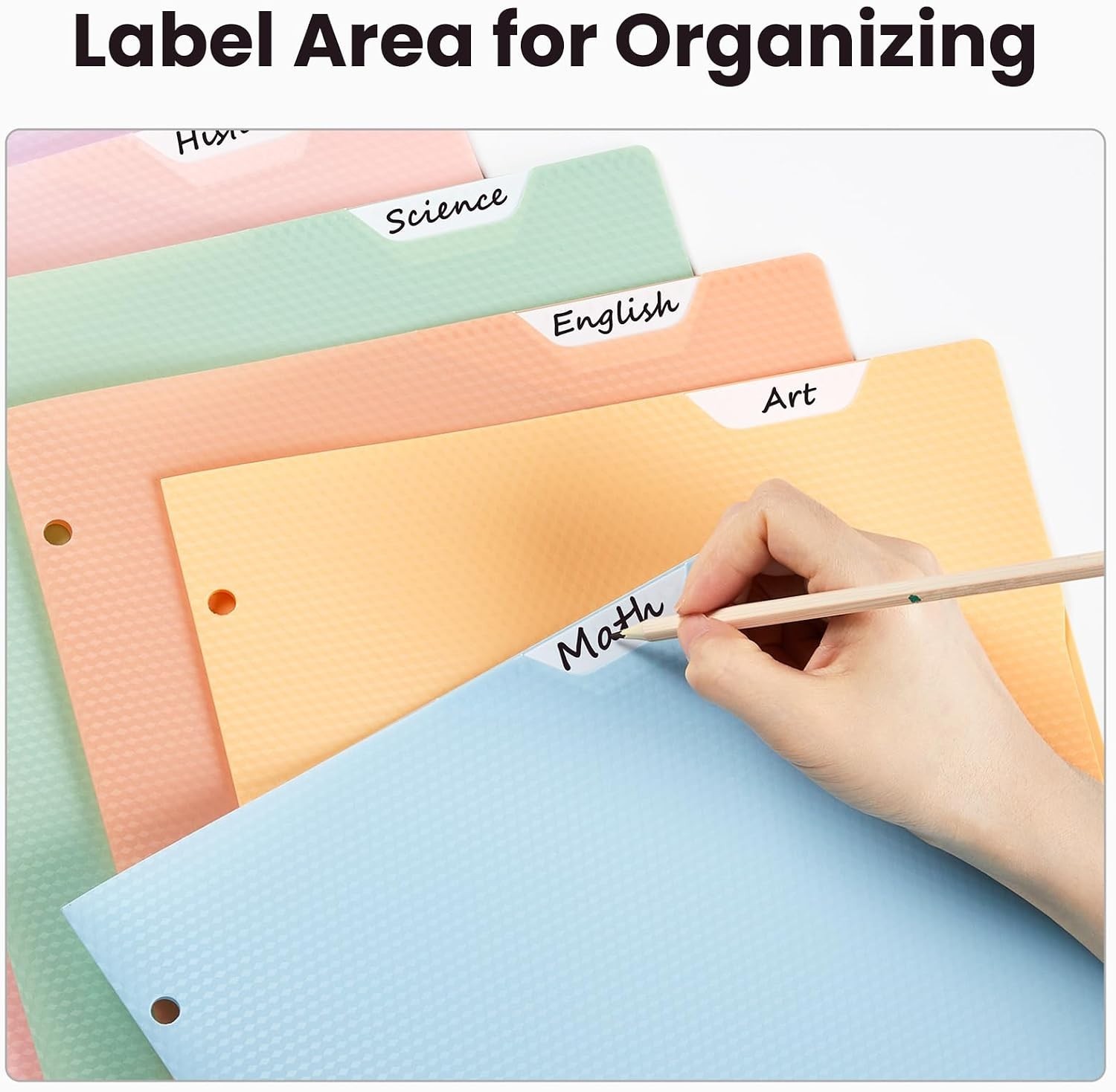 6 Pack Heavy Duty Plastic 2-Pocket Folders with Writable Top Tab - Pastel Colors