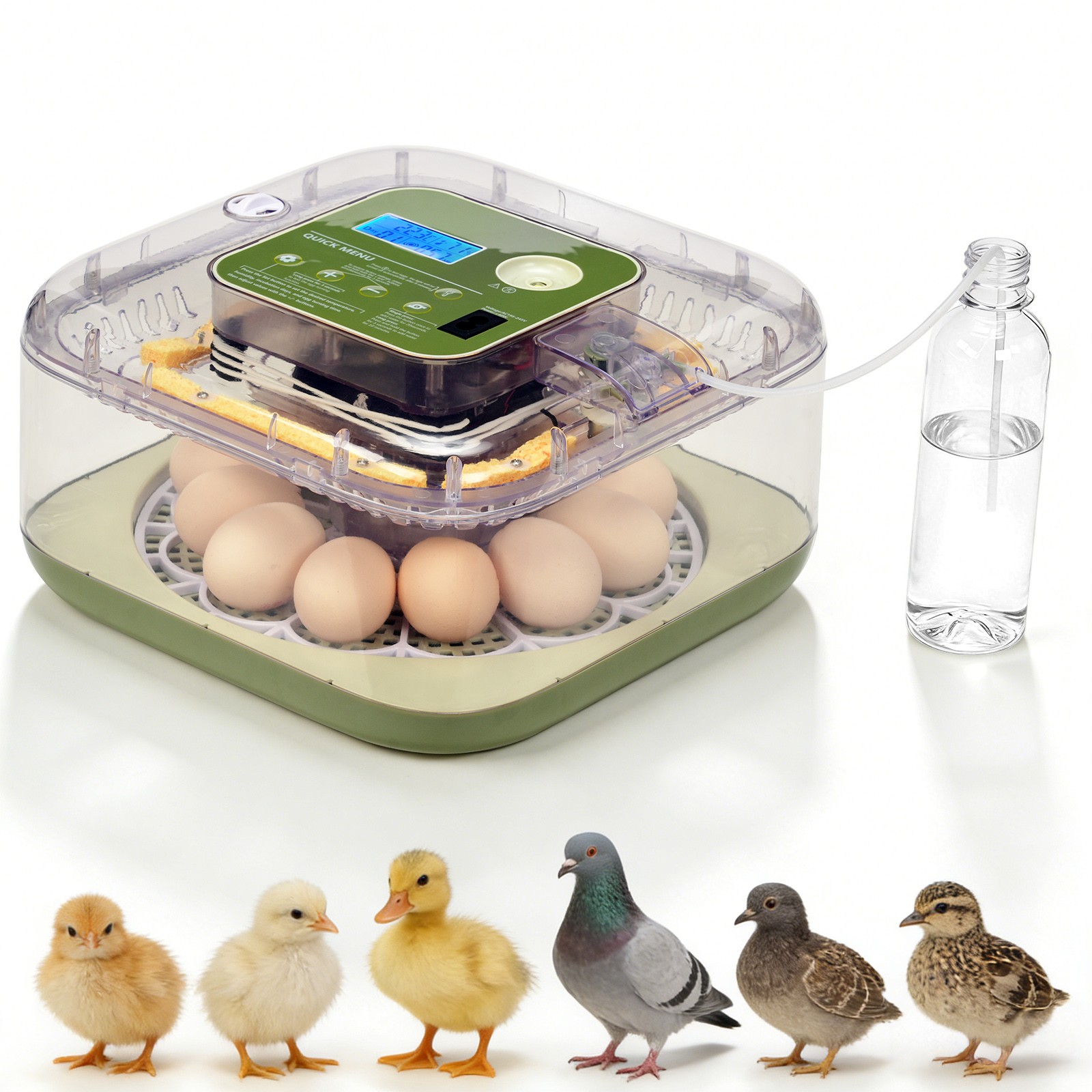12 Eggs Incubator with Automatic Egg Turning for Hatching Chicken Ducks Eggs