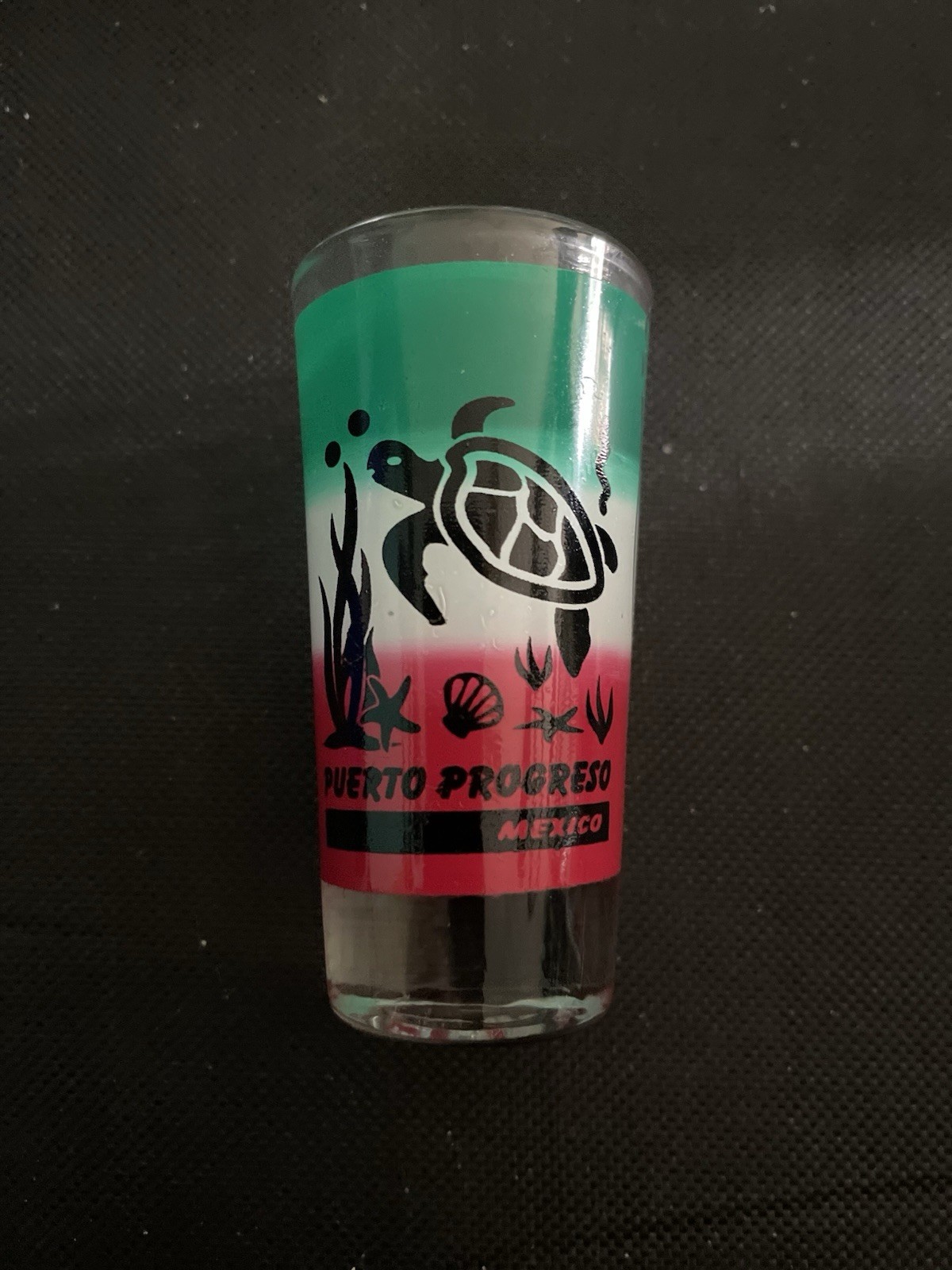 Puerto Pergresso Mexico Shot Glass