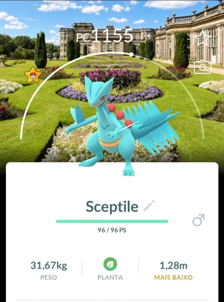 SHINY SCEPTILE - BG LYME - NATIONAL TRUST