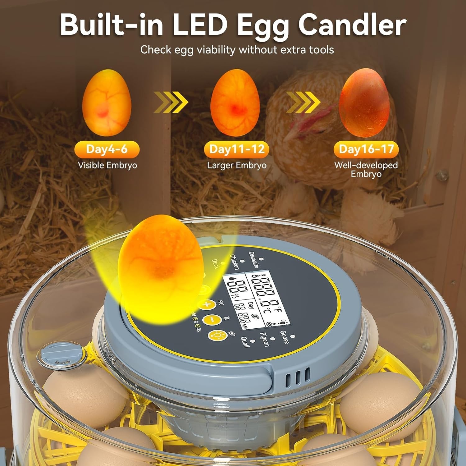 Incubators for Hatching Eggs, Egg Incubator with Automatic Egg Turning and Humid