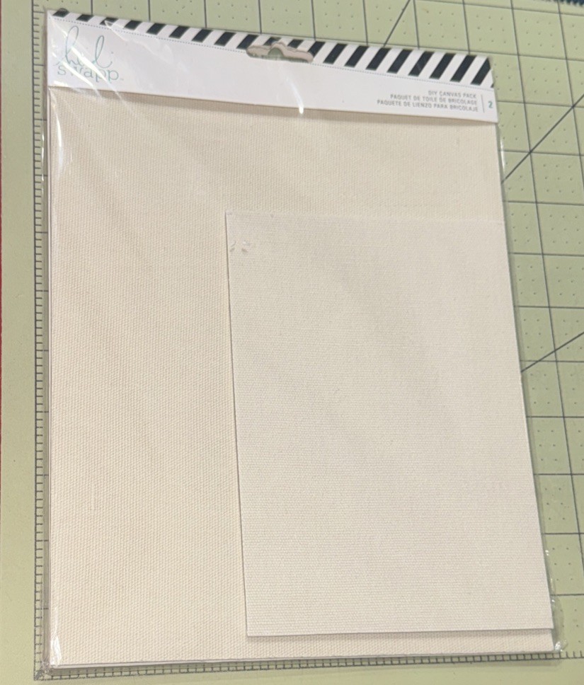 HEIDI SWAPP DIY Canvas 2pc Pack by American Crafts 312737 New