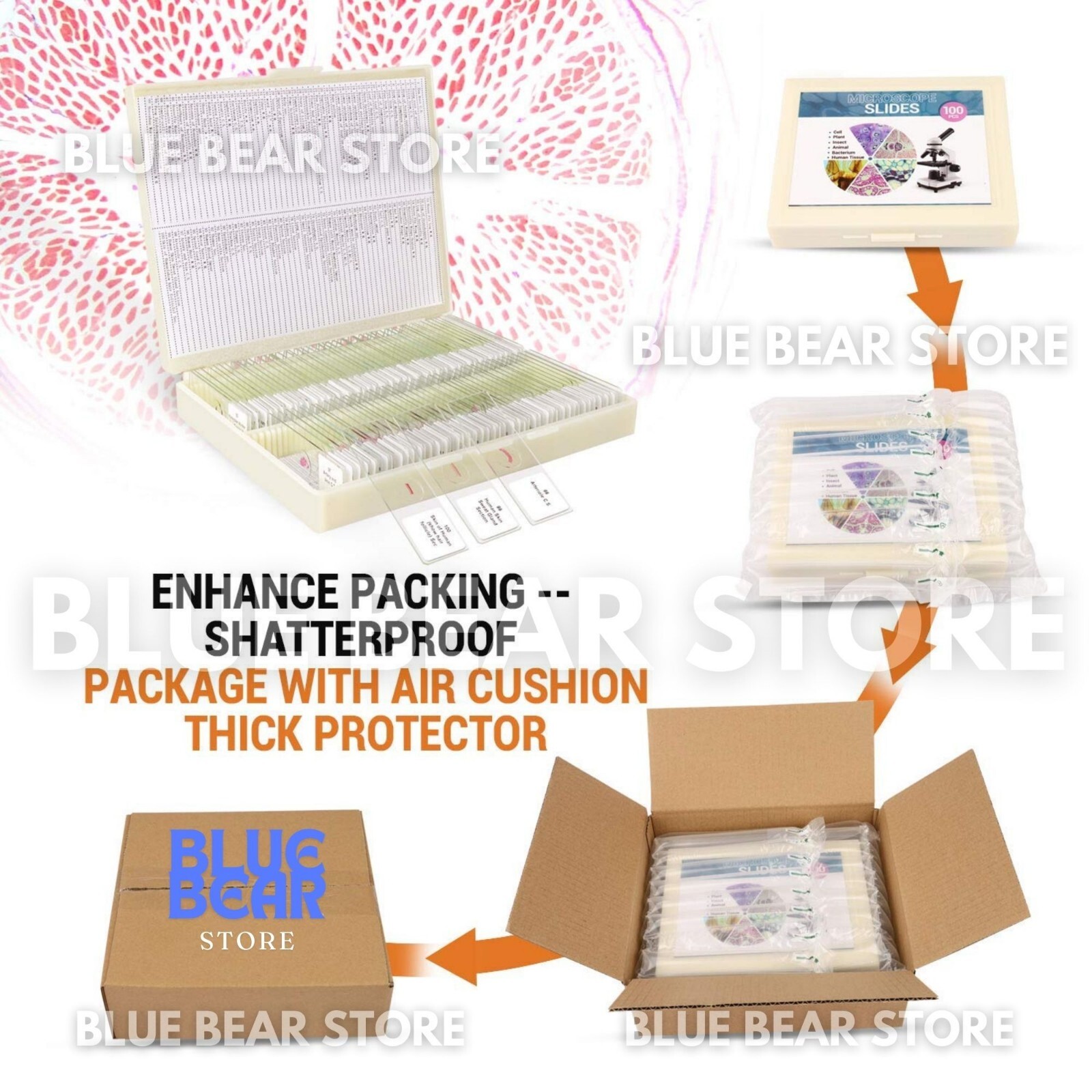 Prepared Microscope Slides Specimens Plant Insect Animal for Student Education