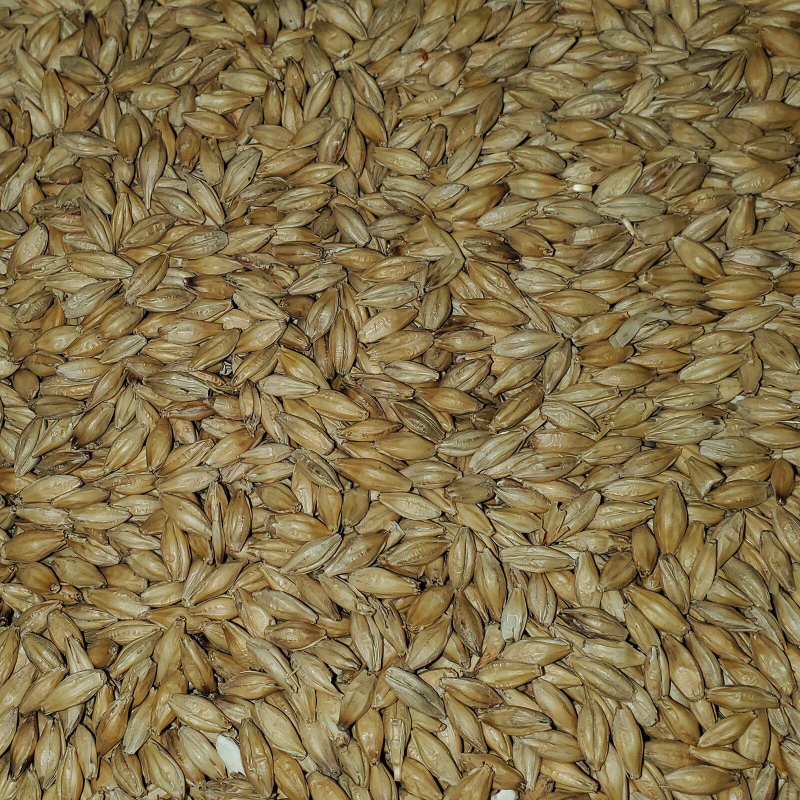 Rahr 2-Row 10 lbs. for Home Brew Beer Making