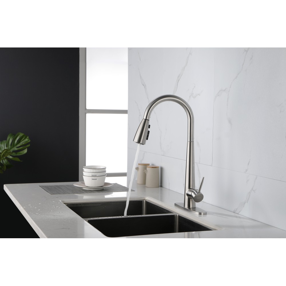 Single Handle Stainless Steel Kitchen Sink Faucet with Pull Down Sprayer