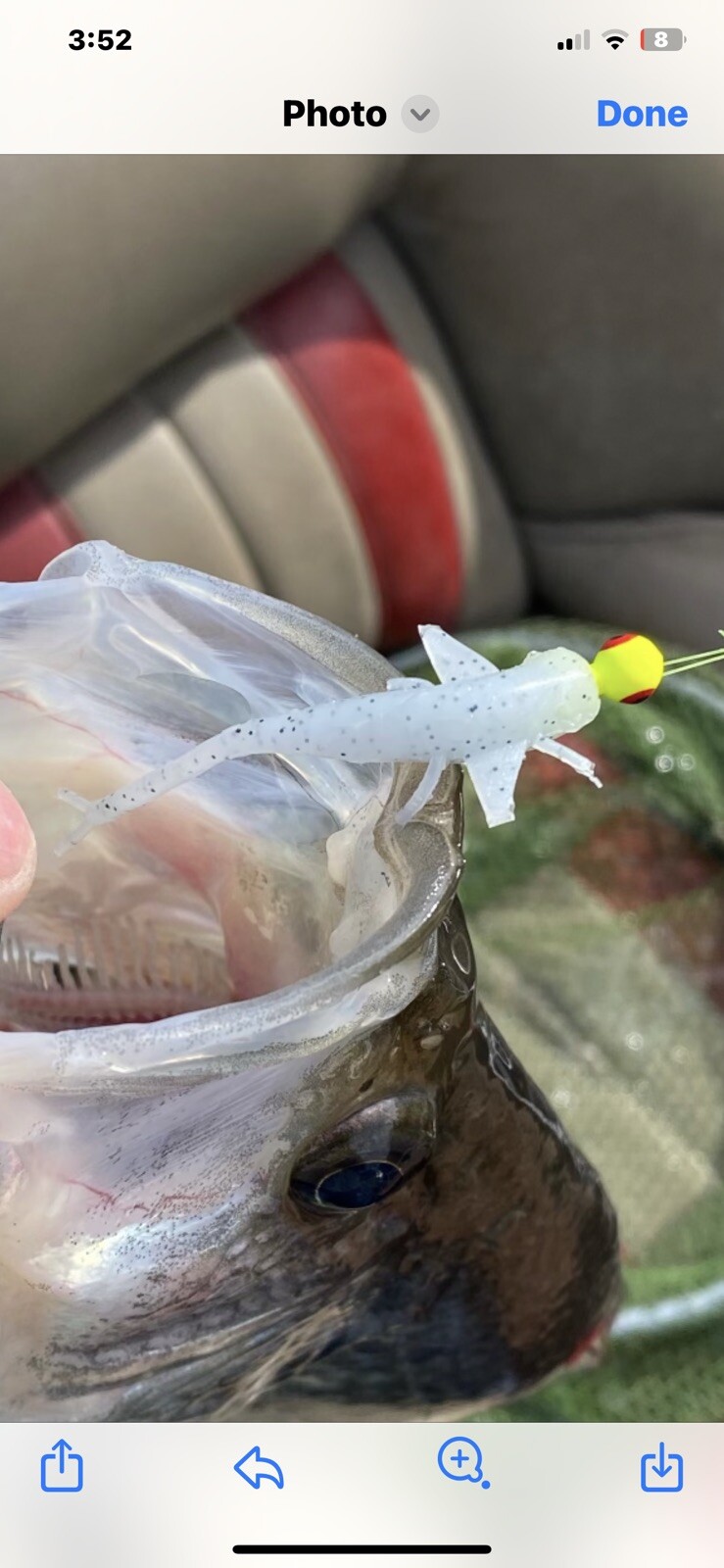 Cnc Fishing Bait Mold Crappie Mayflies