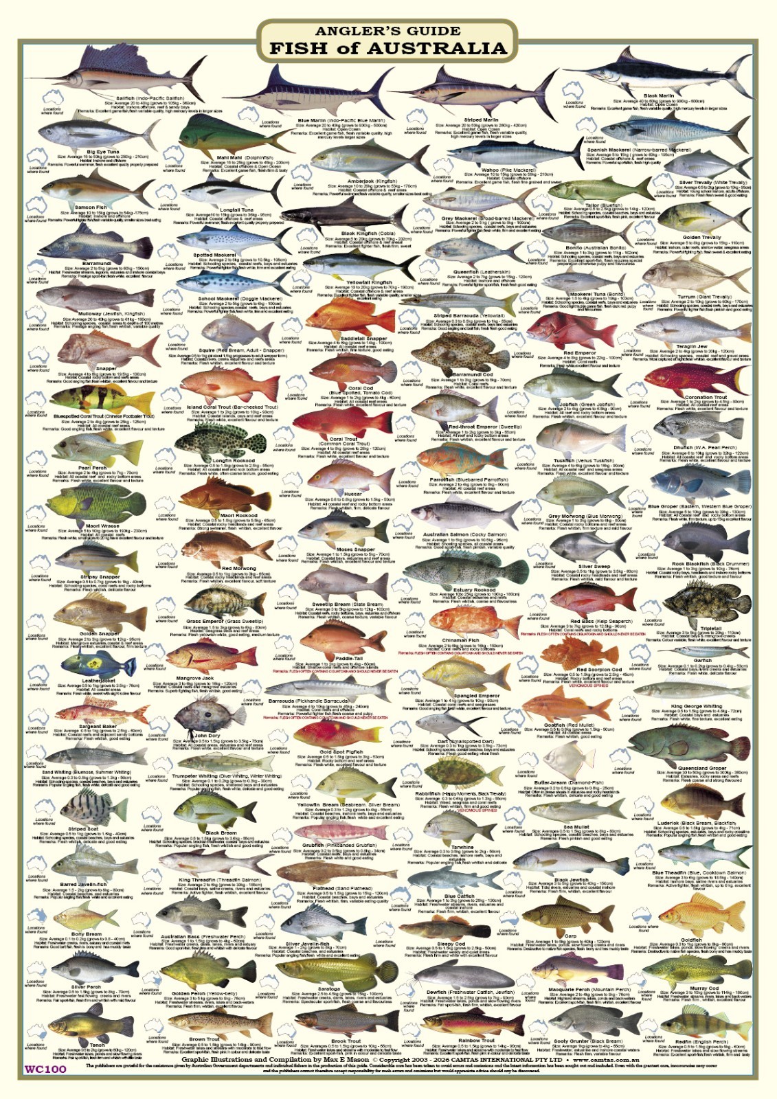 Australian Fish Identification - Anglers Guide - LAMINATED - CAMTAS WALL CHART