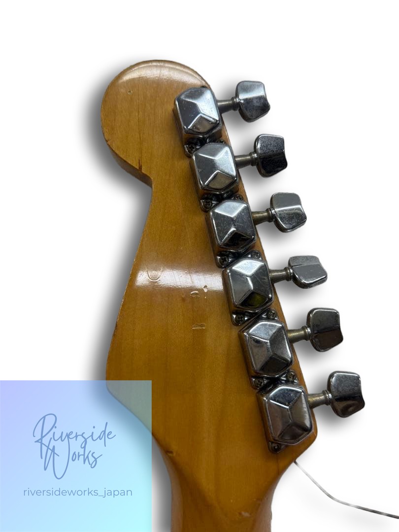 Limited Offer ProSession Stratocaster Electric Guitar