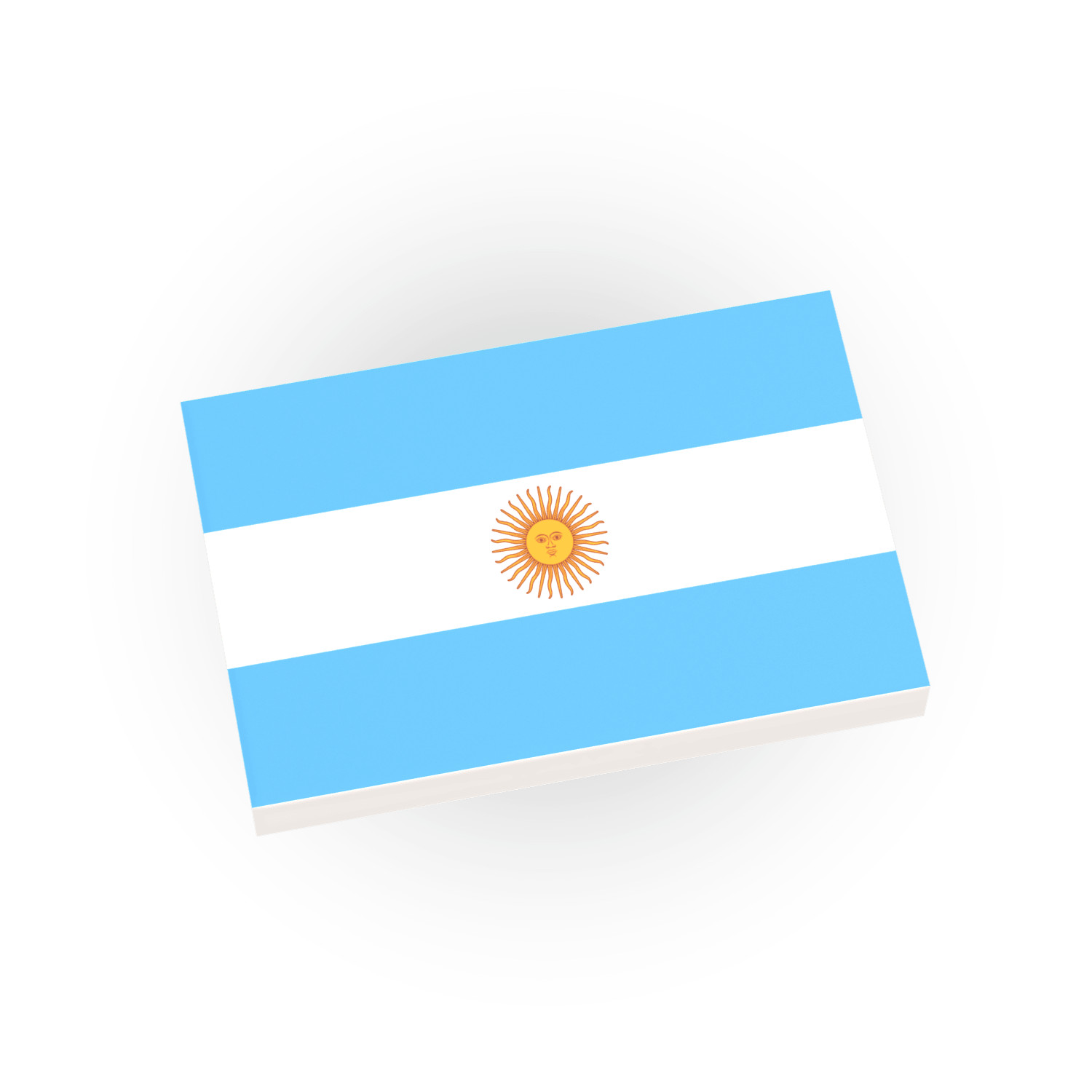 Aregntina Country Flag  - Custom Printed -  Minifig - Brick City - AFOL