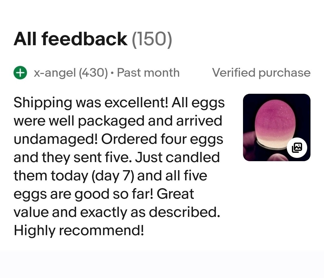 6+ Cayuga & Ancona fertilized duck eggs