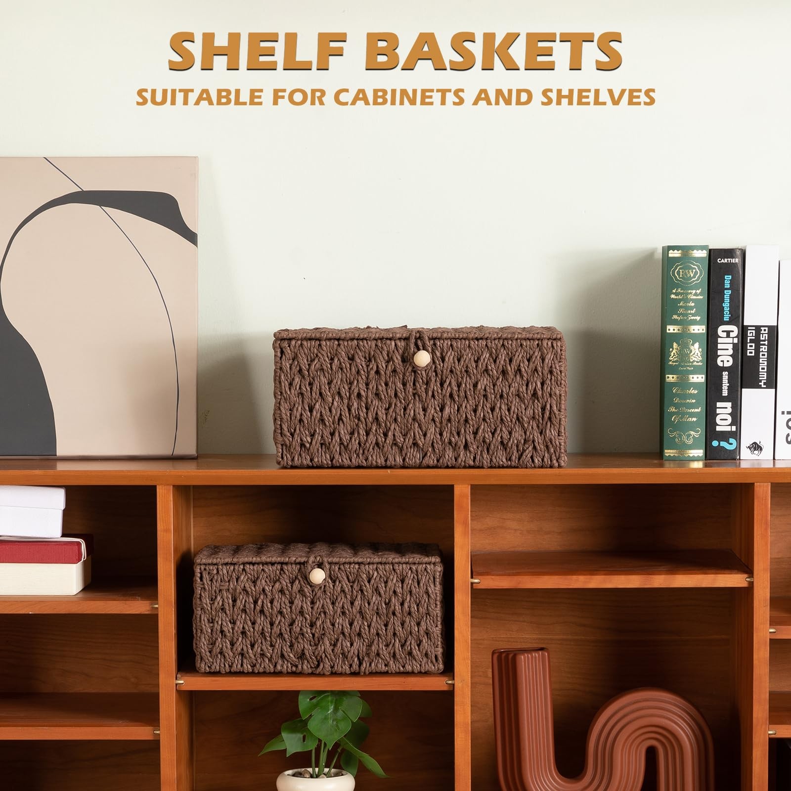 OIAHOMY Wicker Storage Basket Lid & Lock, Lidded Storage Bins, Decorative