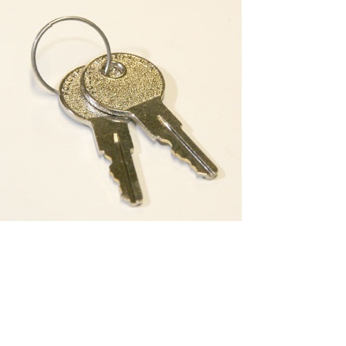 262798 KEYS, SET OF 2 FOR HYSTER W40Z / W45Z
