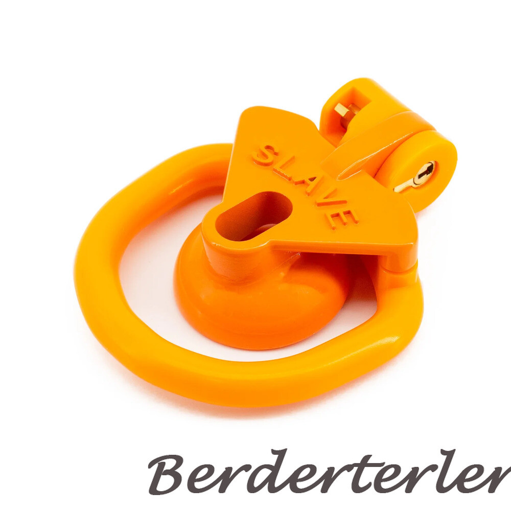 Sissy Positive/Negative Mini Chastity Cage Lock with Plug Slave 4 Sizes Rings