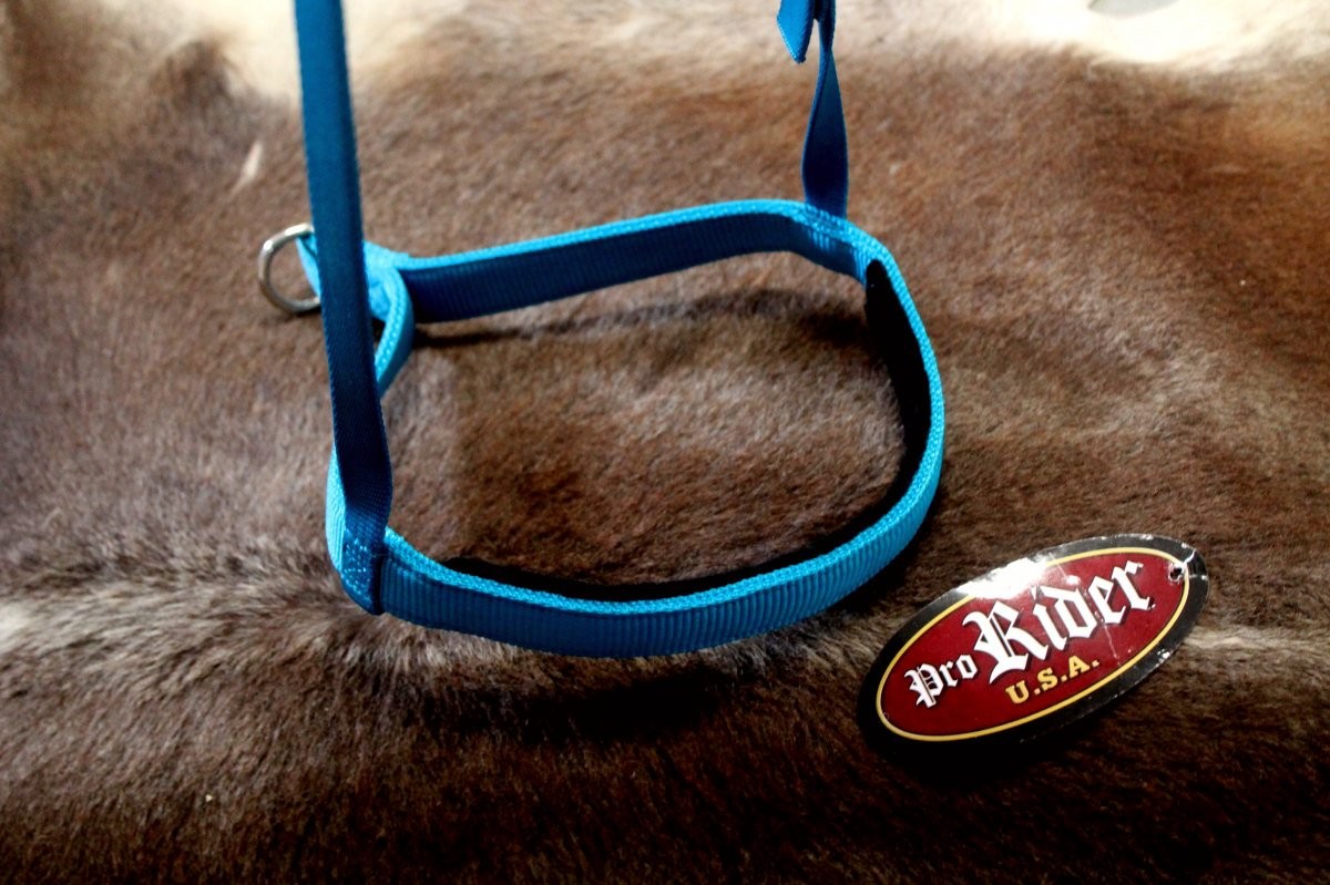 Horse Show Bridle Western Leather Barrel Racing Tack Rodeo Noseband  99112