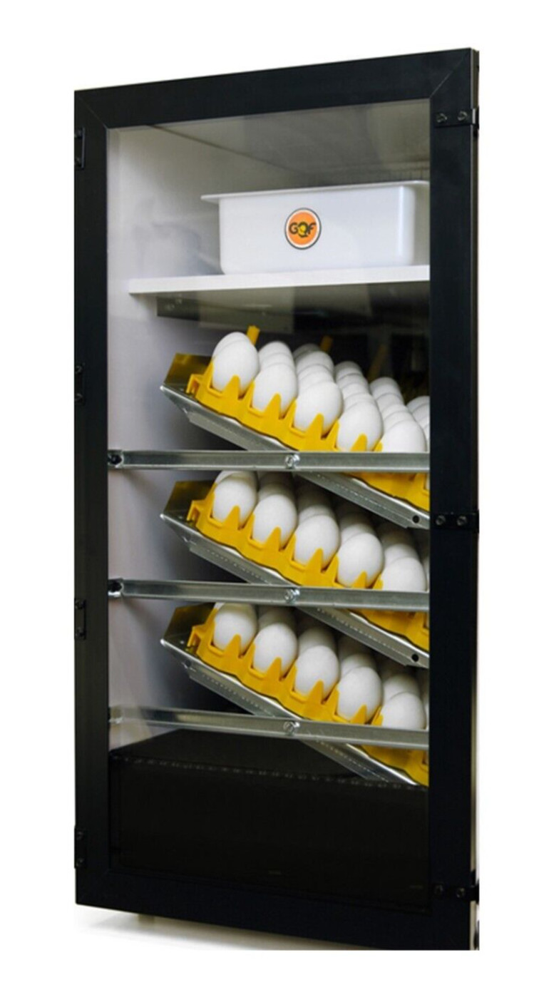 NEW GQF 3065R - Clear Door for Cabinet Incubators 1550 1502 1202E Models