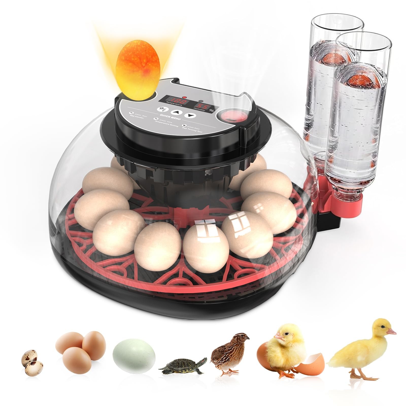 Incubators for Hatching Eggs Automatic Egg Incubator with 12, Red Black