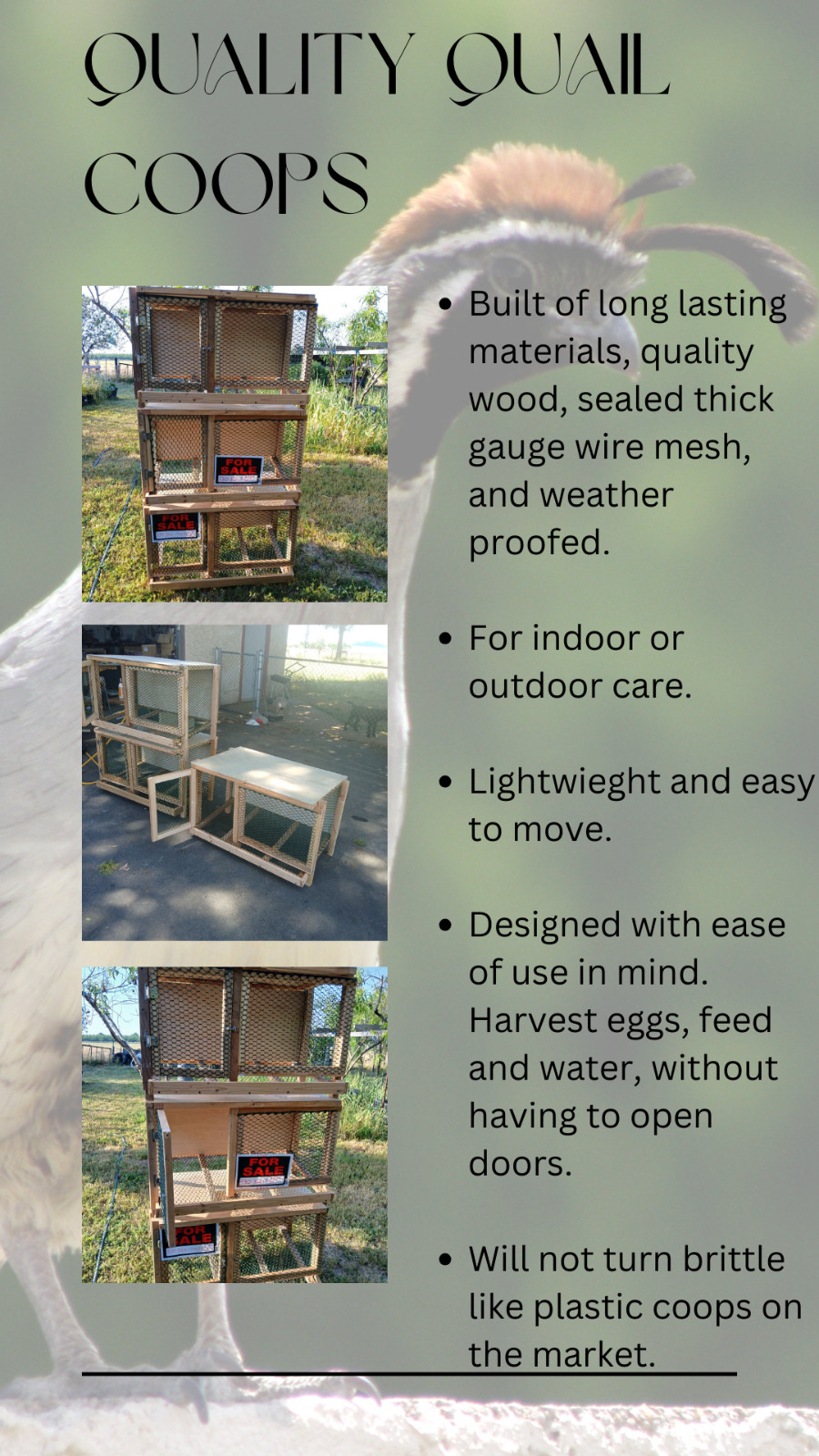 Quail Coop, Wood/Wire Mesh Quail housing with easy egg harvest system