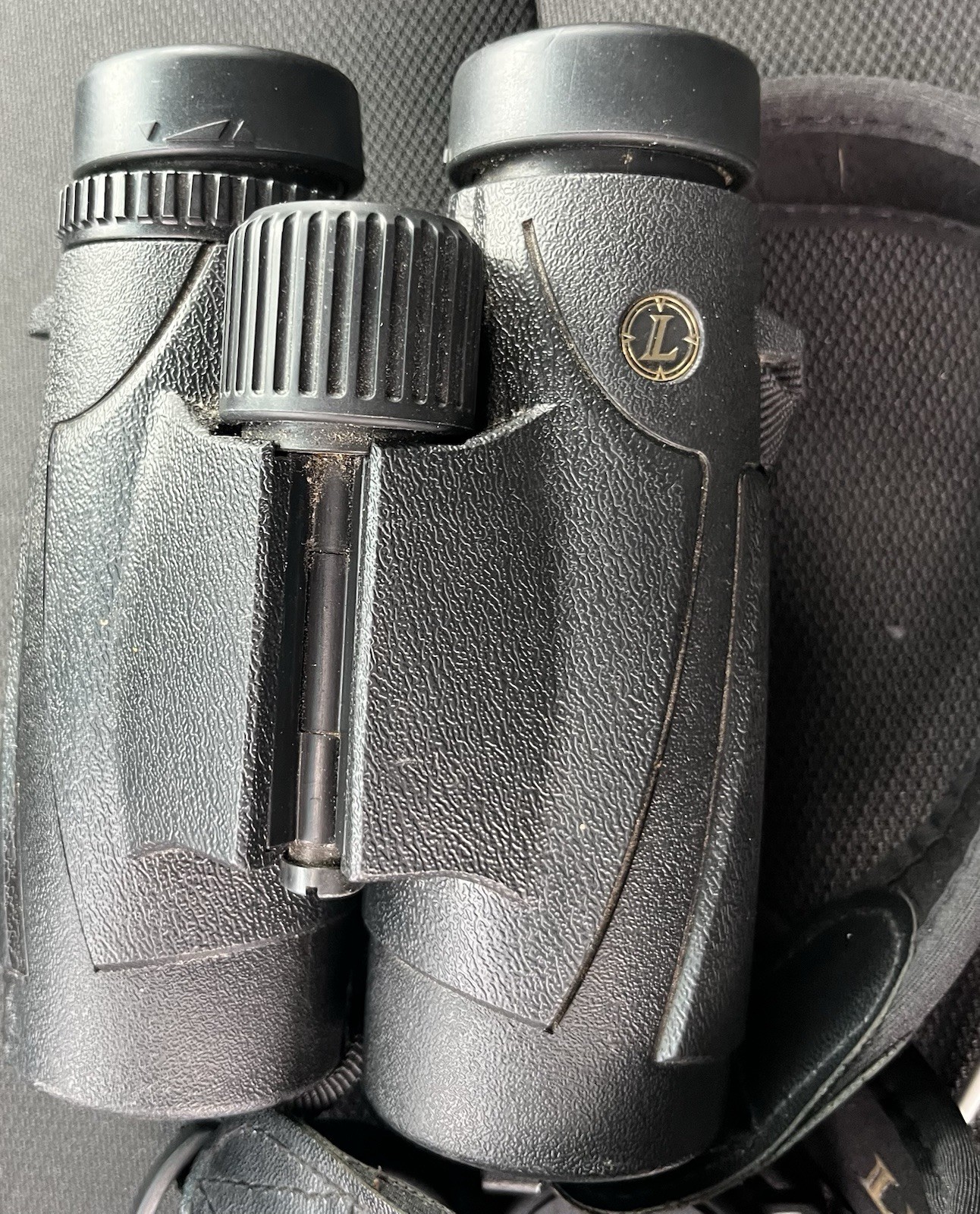 Leupold BX-1 McKenzie 10x42mm Waterproof Binoculars
