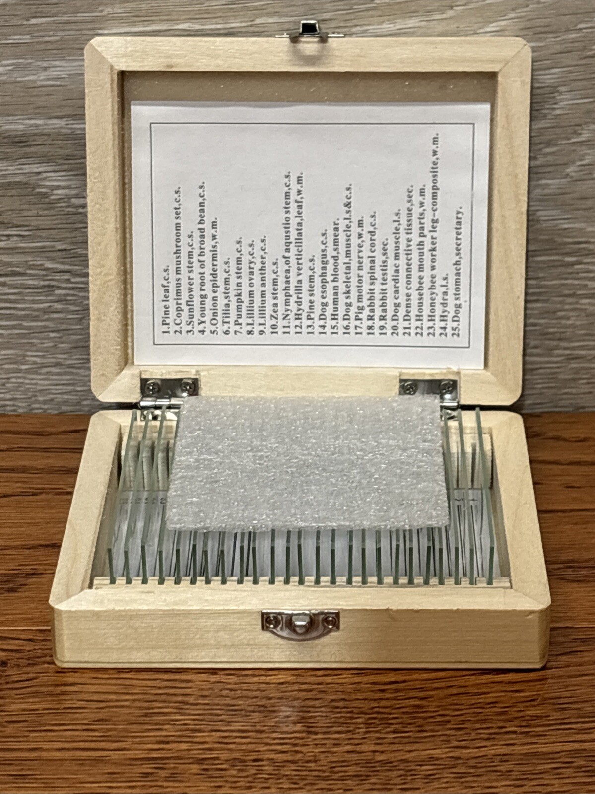 AmScope PS25 Prepared Microscope Slide Set for Basic Biological Science B
