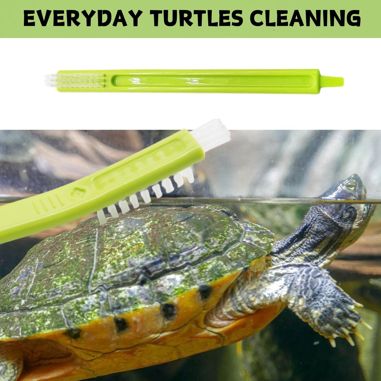 4 Pack Turtle Brush - Turtle Shell Cleaning Brush with Suction Cup for Tank R...