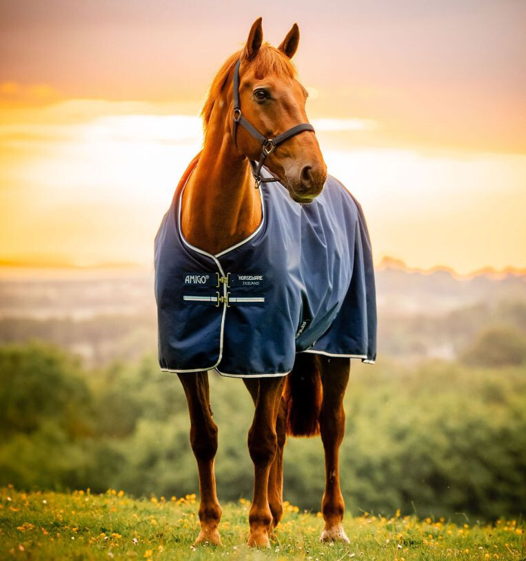Amigo Ripstop 900D Pony Turnout 100g - Whitney Navy