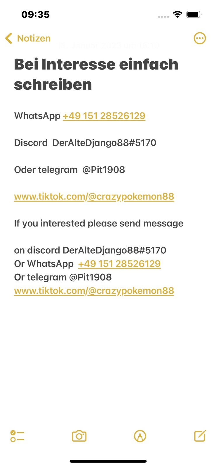 Pokemon Go Pikachu Kurta / Background NON SHINY