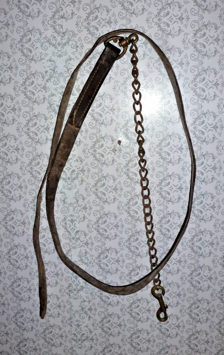 LEATHER LEAD ROPE WITH BRASS CHAIN 1" WIDE 91" OVERALL #