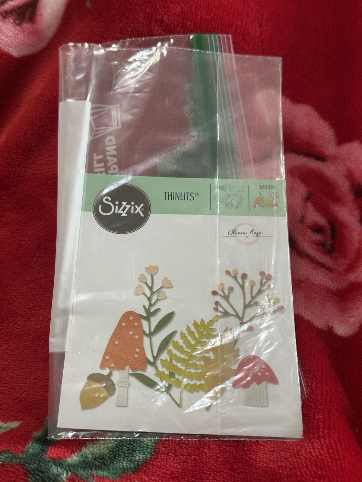 Retired Sizzix Thinlits WINTER NATURE Mushrooms #665489, Gently Used, 11pc
