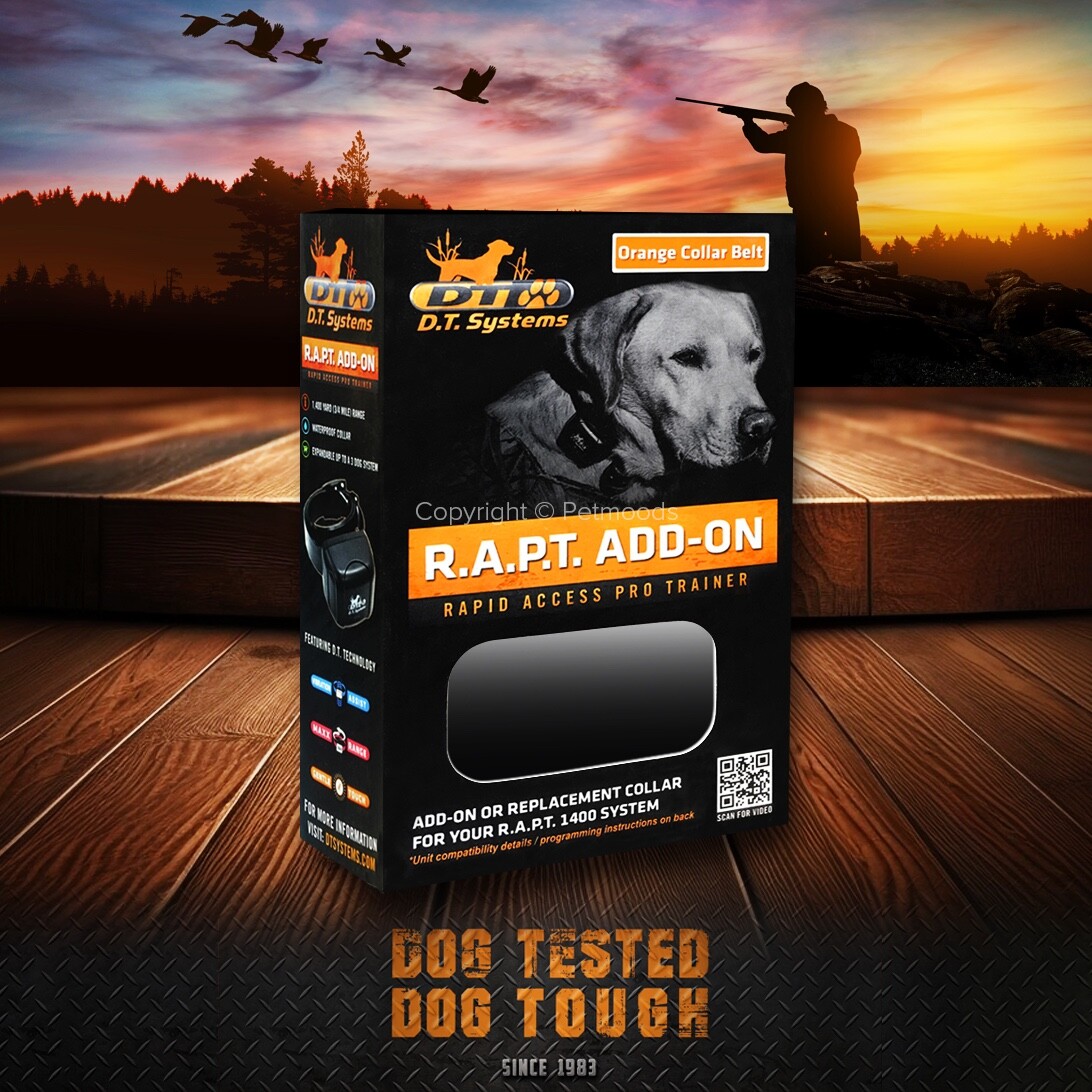 DT Systems RAPT 1400 Orange Add-On Collar Dog Receiver MAXX-Range 360°
