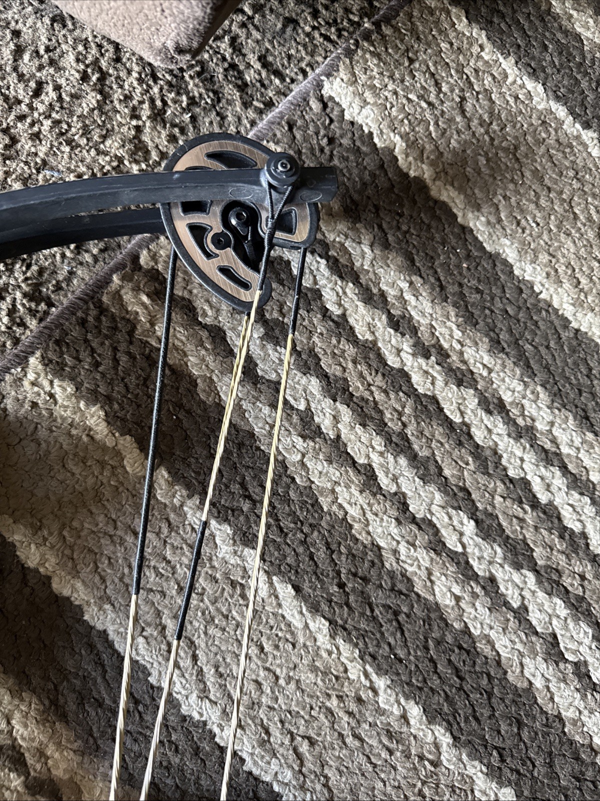 compound bow right hand used
