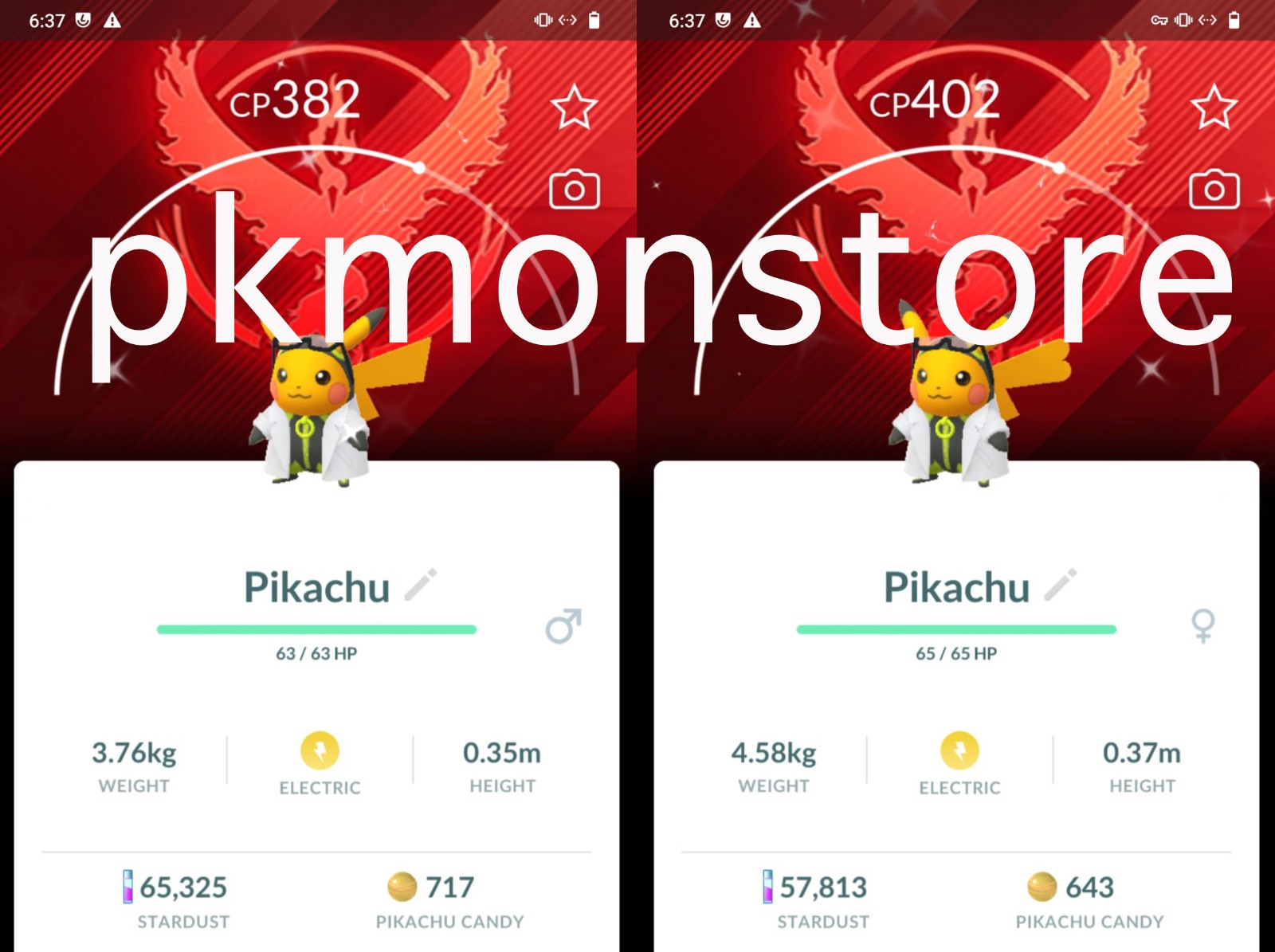 Shiny Pikachu Professor Willow’s assistant team Valor - PTCs