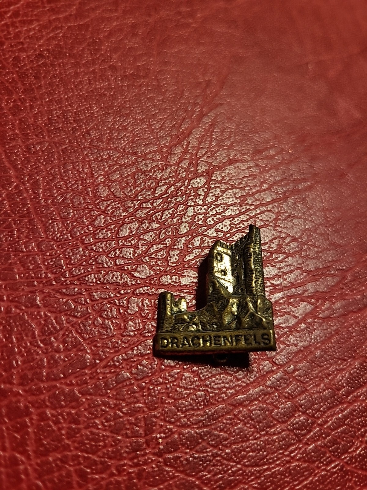 Pin Hatpin Hiking Pin Brooch Dachstein