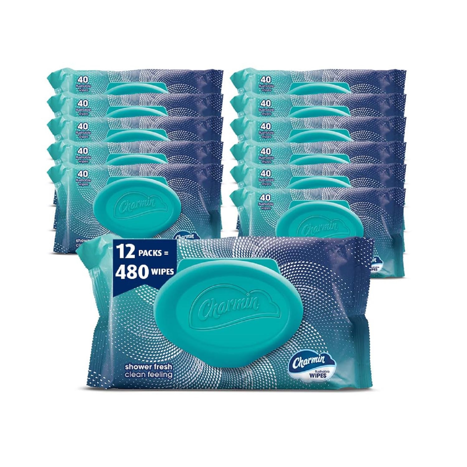 Flushable Wipes, 480 Total Wipes (12 Packs of 40)
