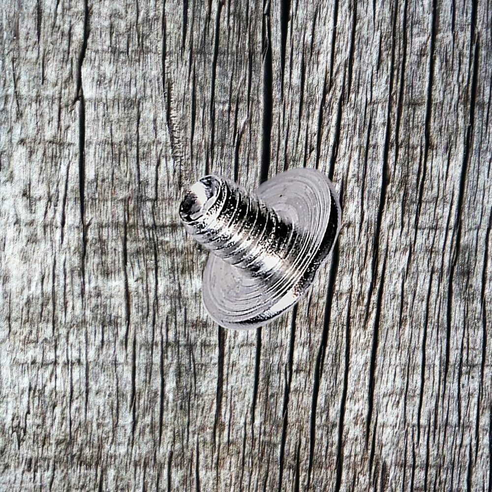 Turquoise Feather 1-1/4 Inch Concho CON300-E