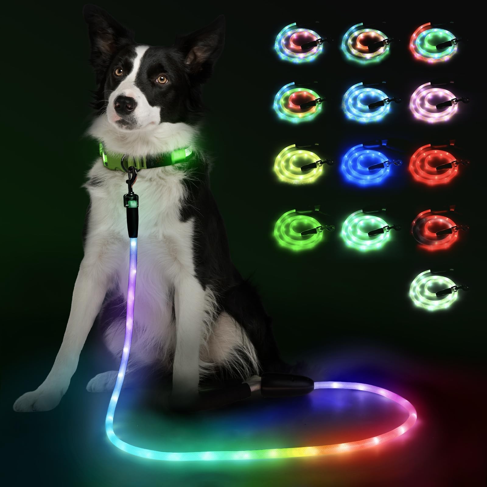 6FT Light up Dog Leash with 15 Flashing Modes - Super Bright LED Dog Leash fo...