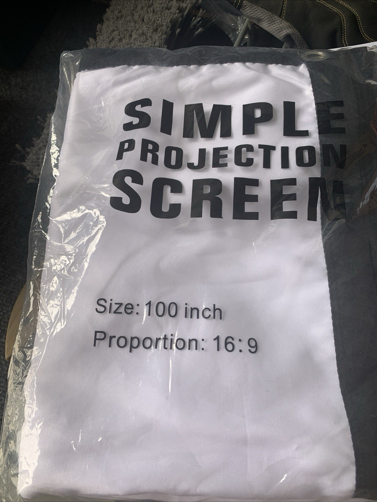 NEW Simple Projector Screen 100 Inch  Proportion 16:9 White Screen Black Border