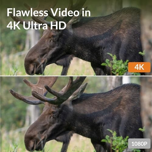 A60 Trail Camera (Non-Cellular, Non-WiFi), Enhanced Low-Light Performance,
