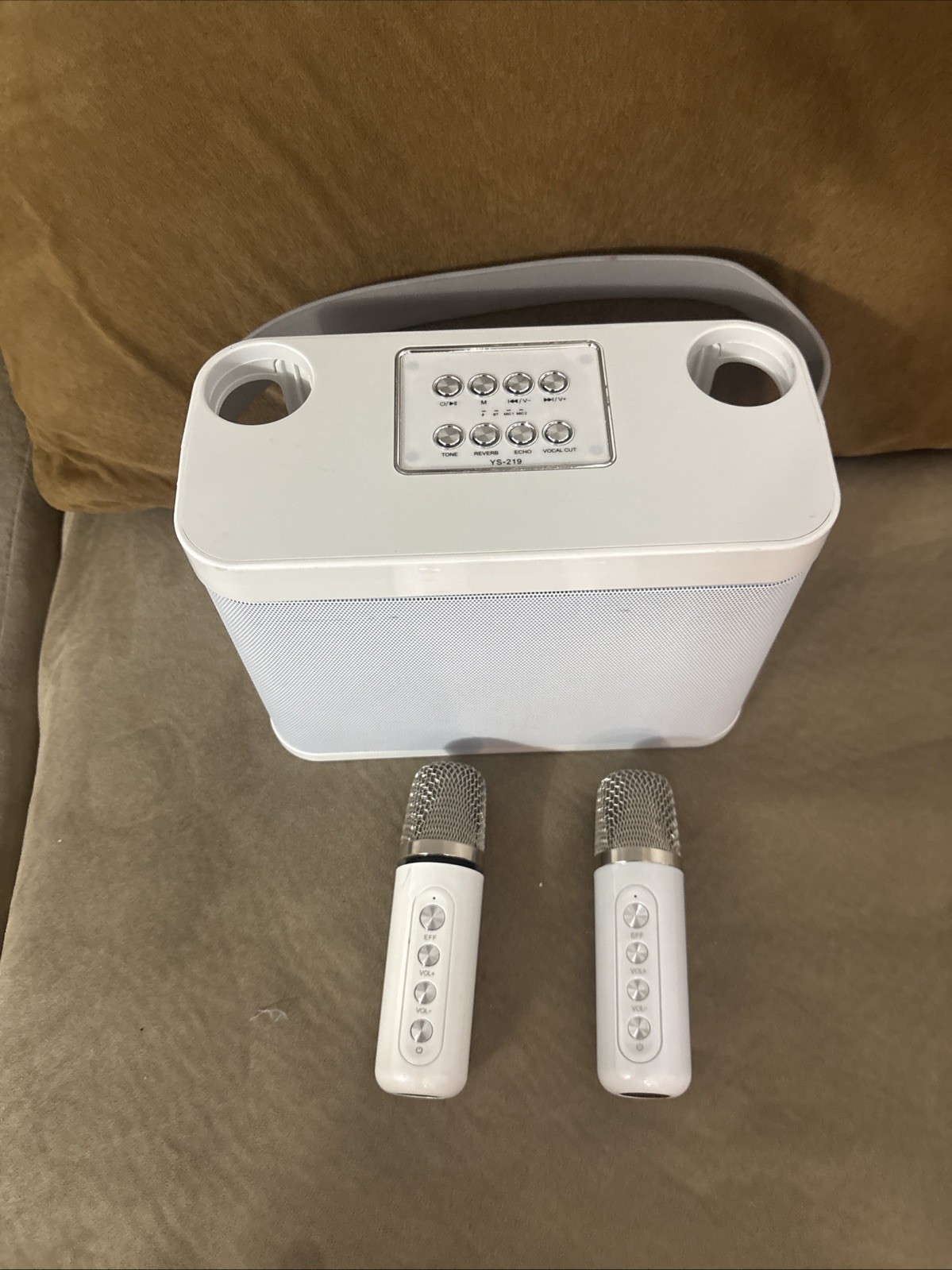JIEFOCH Karaoke Machine for Adults and Kids, Portable Bluetooth Karaoke Speaker