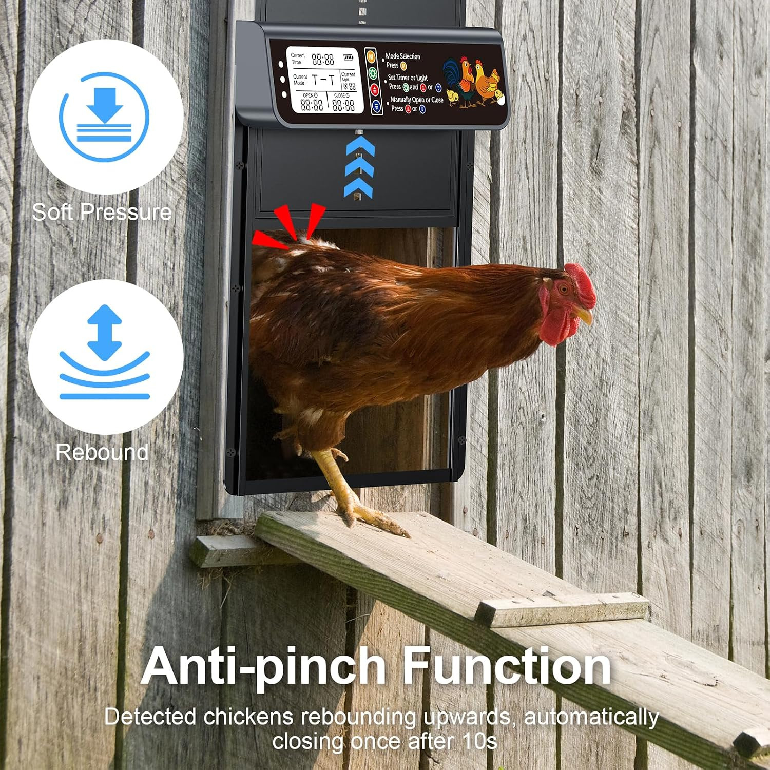 Automatic Chicken Coop Door Solar Powered with Timer & Light Sensor | Automatic