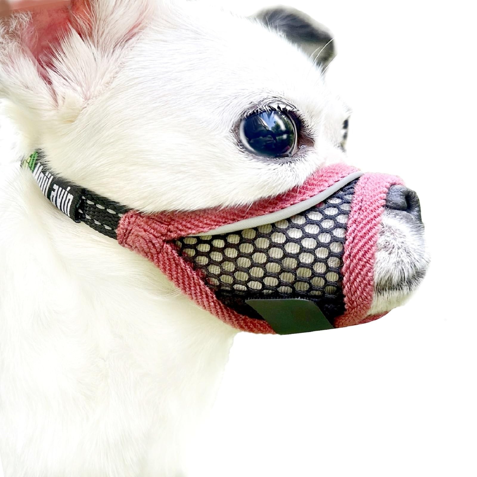 MoiiLavin Dog Muzzle, Soft Mesh Muzzles for XXS-Snout (4.7”-5.6”), Cherry-red