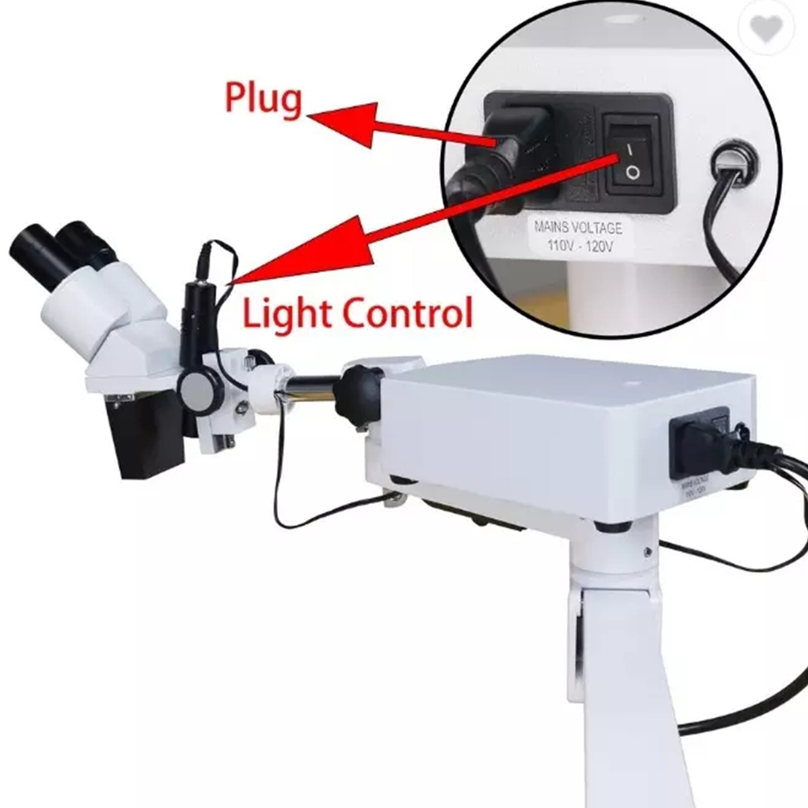 Desktop 10X Dental Stereo Binocular Microscope Surgical Root Canal Microscopes