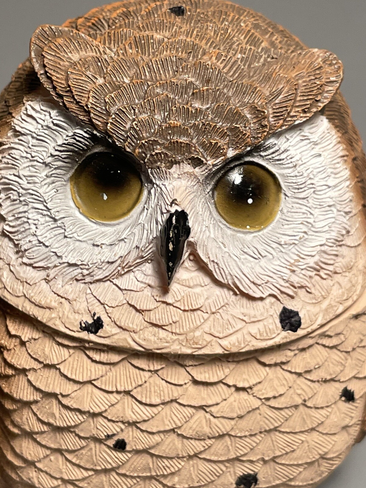 Trinket box round Owl resin Textured 3”