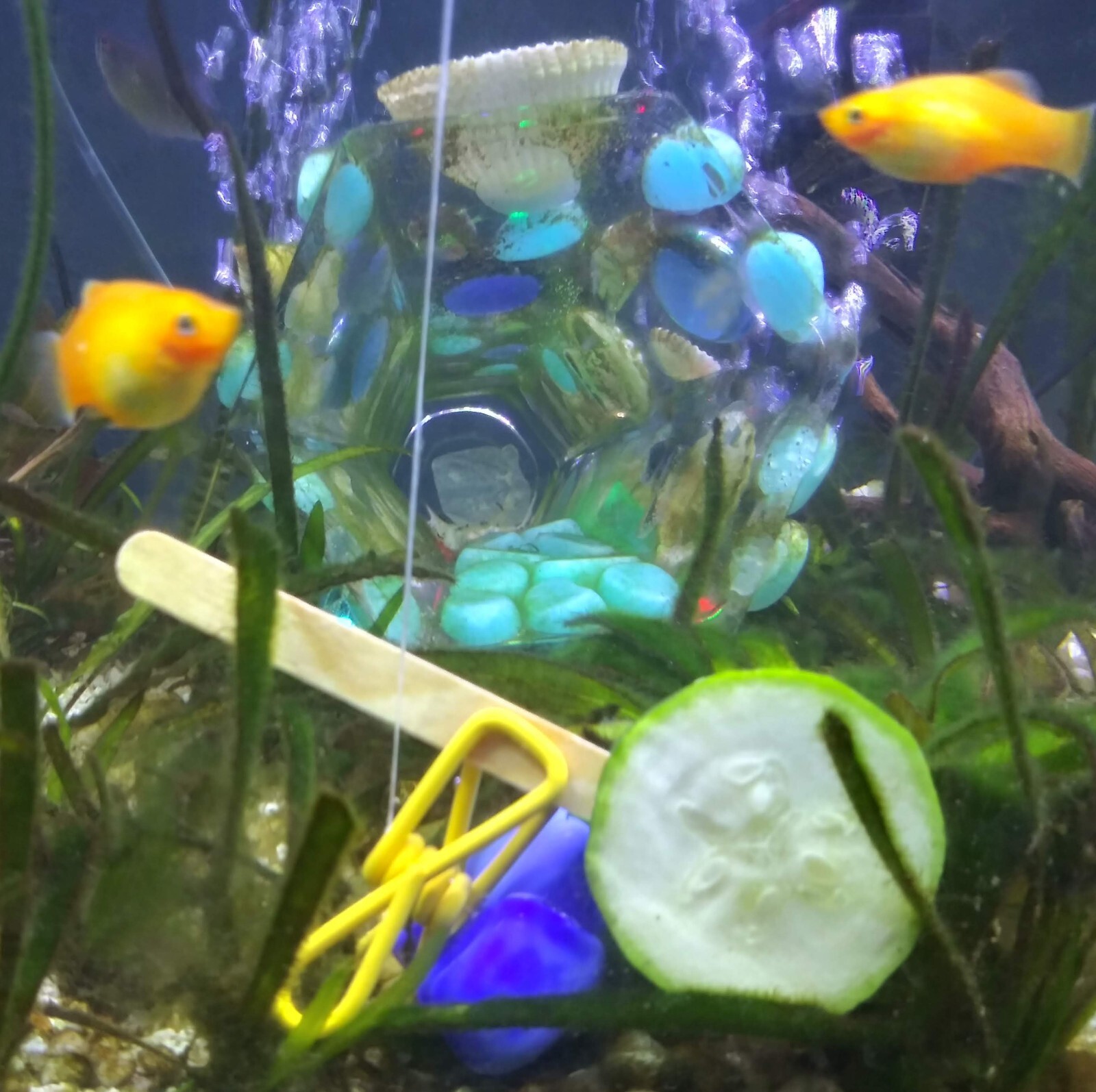 Small glass crystal fish cave aquarium decoration in Blue/Grn Glow in the Dark!