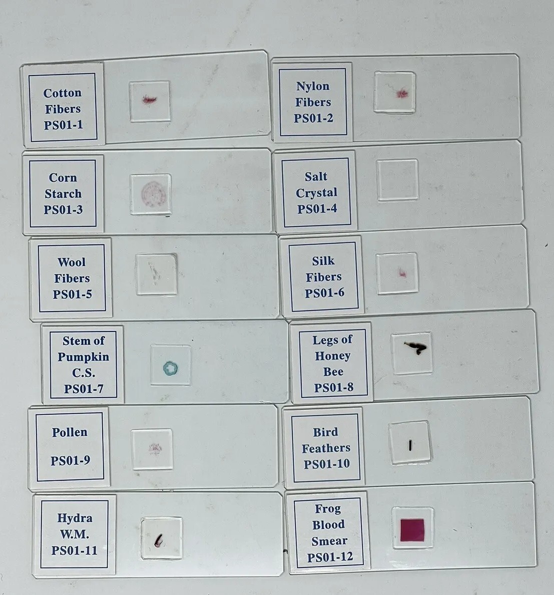Premiere Prepared Slide Set Elementry Level Item #PS01